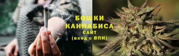 прущий лед Вязьма