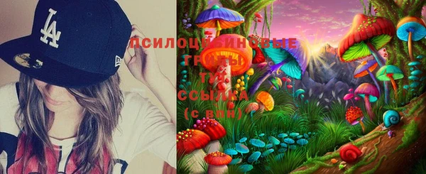 прущий лед Вязьма